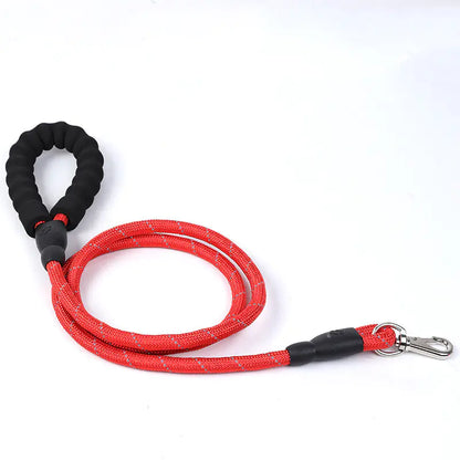 Spring Explosion-Proof Pet Leash with Reflective Nylon