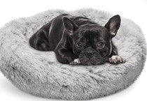 Pet Beds